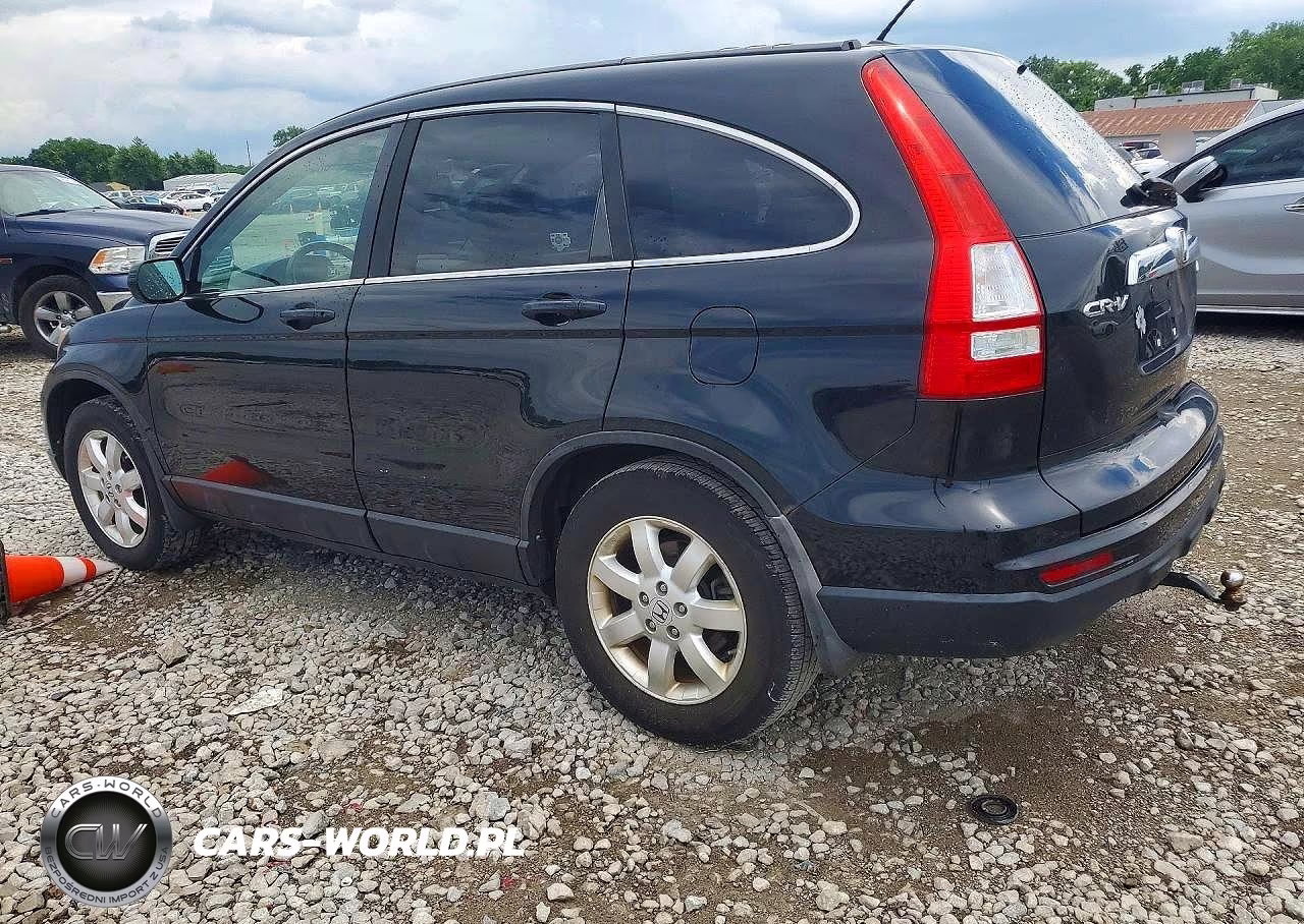 2010 Honda Cr-V Exl VIN:5J6RE4H72AL033593 - 2