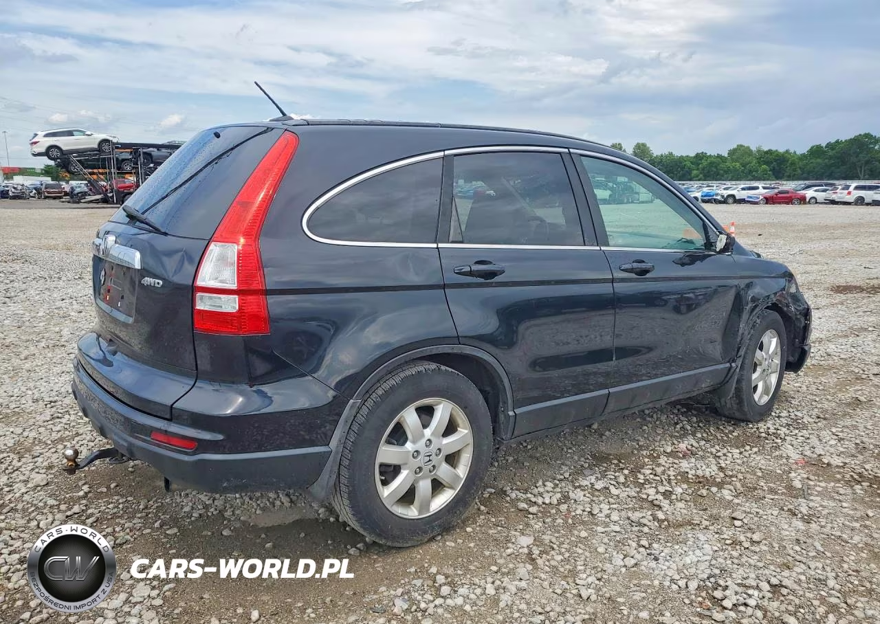 2010 Honda Cr-V Exl VIN:5J6RE4H72AL033593 - 3