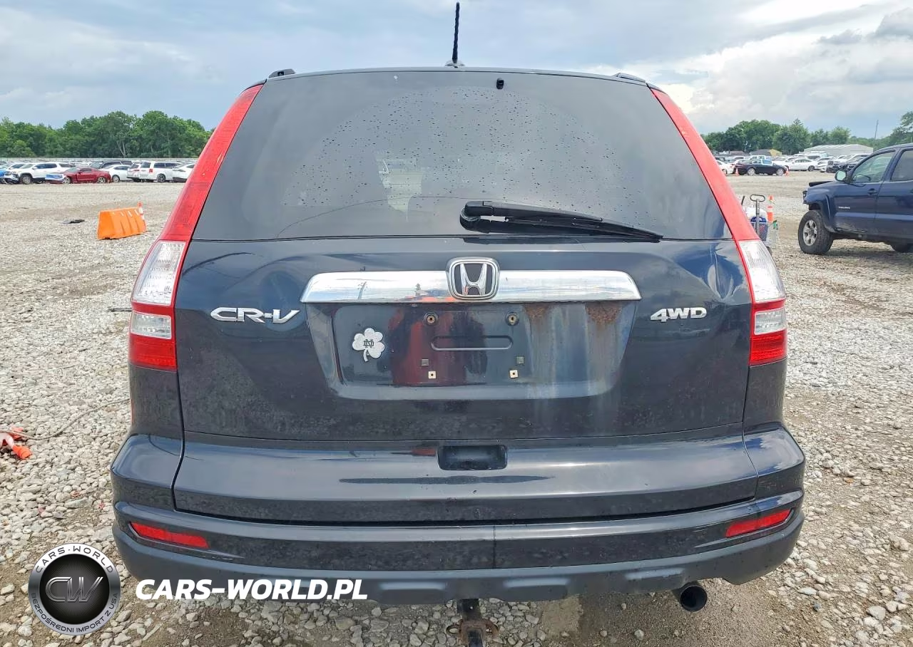 2010 Honda Cr-V Exl VIN:5J6RE4H72AL033593 - 6