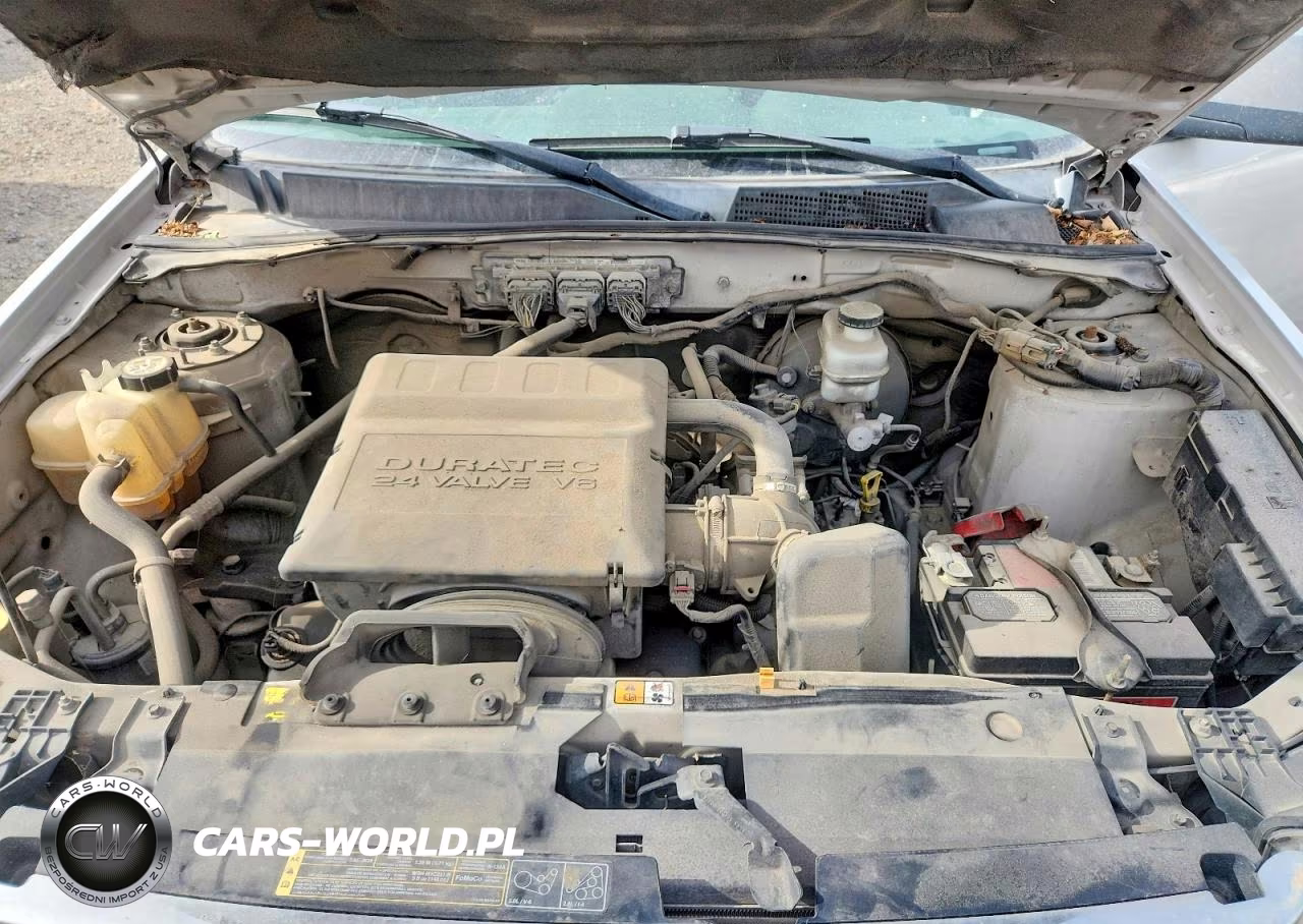2009 Ford Escape Xlt VIN:1FMCU93G49KB19780 - 11