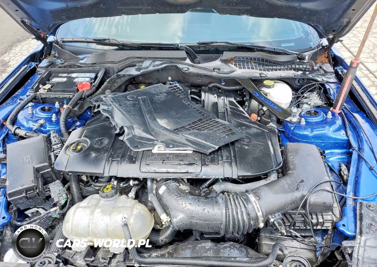 2022 Ford Mustang Gt VIN:1FA6P8CF5N5133437 - 11