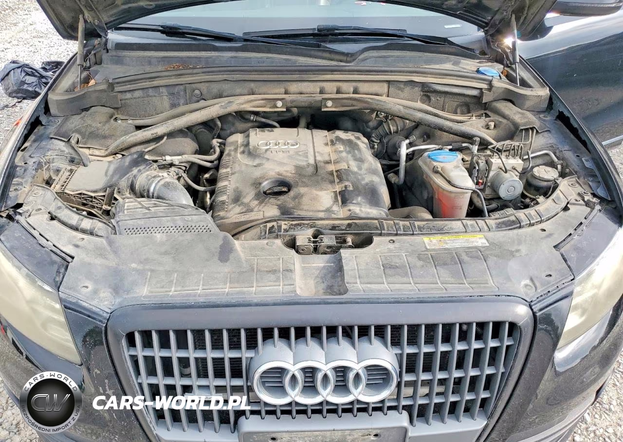 2012 Audi Q5 Premium Plus VIN:WA1LFAFP7CA094263 - 12