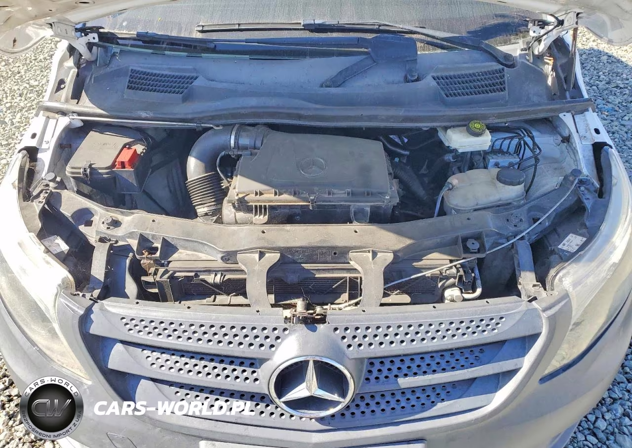 2017 Mercedes Benz Metris Delivery Van VIN:WD3PG2EA6H3218133 - 12