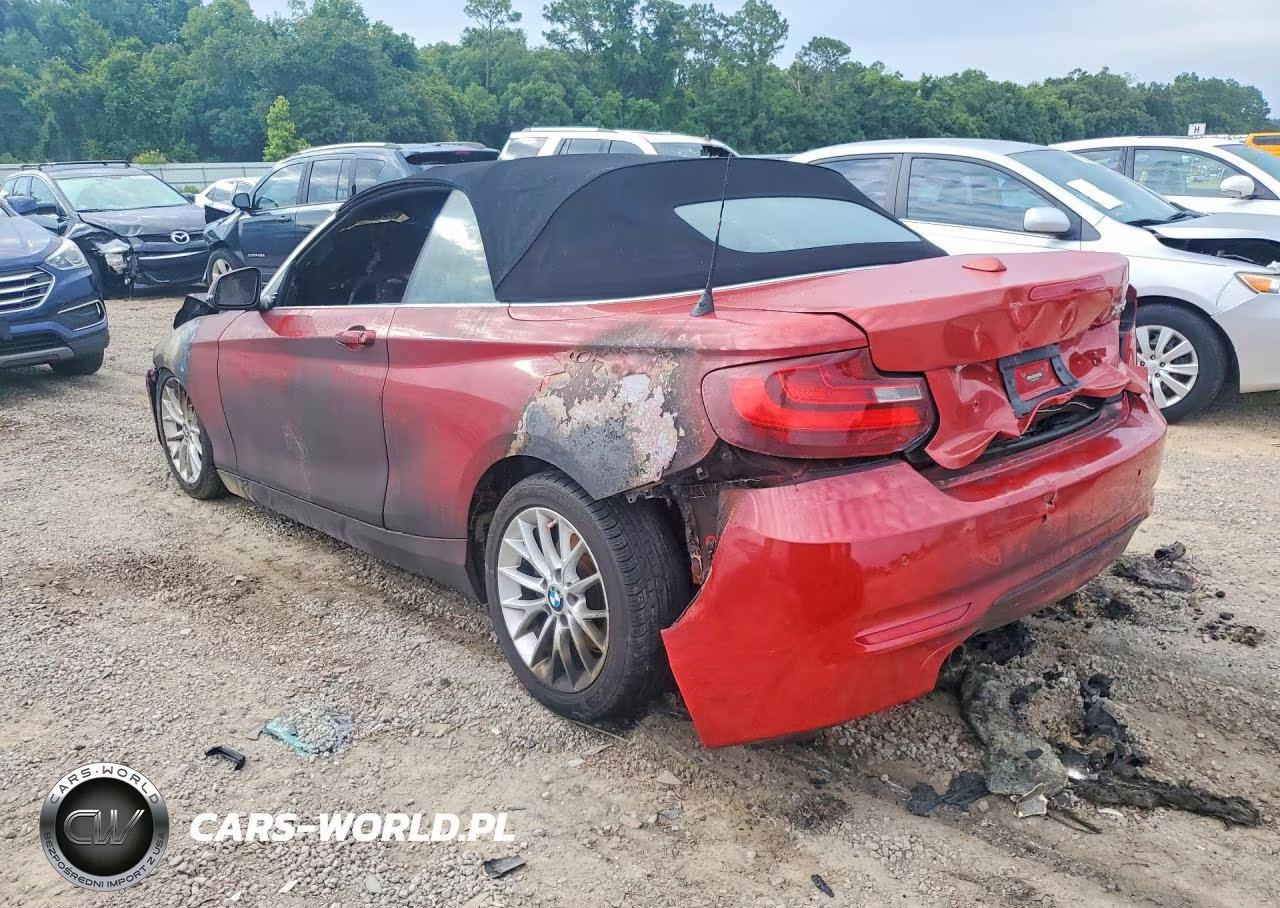 2016 BMW 228 I Sulev VIN:WBA1K9C57GV321666 - 2