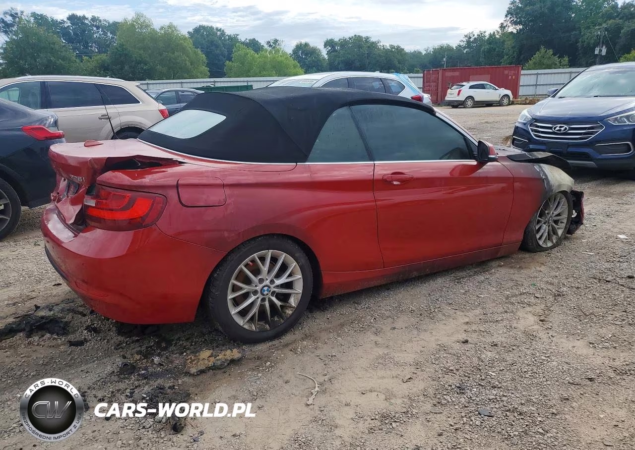 2016 BMW 228 I Sulev VIN:WBA1K9C57GV321666 - 3