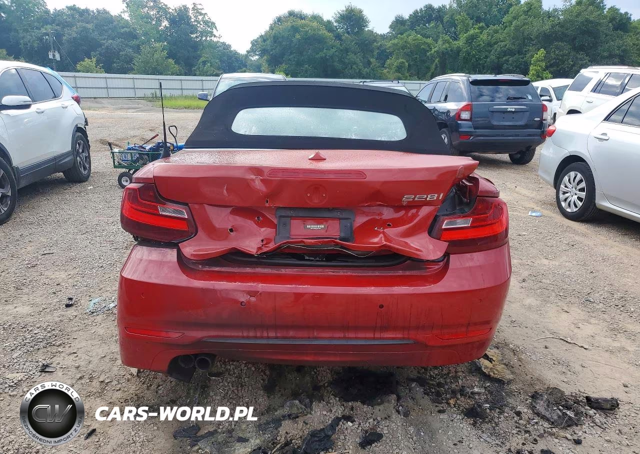 2016 BMW 228 I Sulev VIN:WBA1K9C57GV321666 - 6