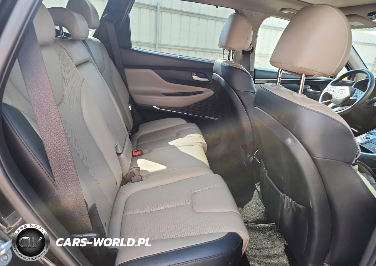 2023 Hyundai Santa Fe Sel Premium VIN:5NMS34AJXPH575702 - 11