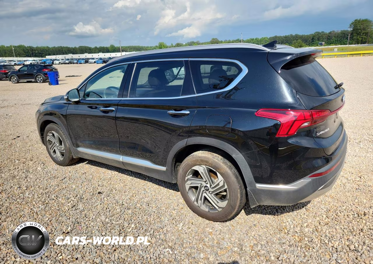 2023 Hyundai Santa Fe Sel Premium VIN:5NMS34AJXPH575702 - 2