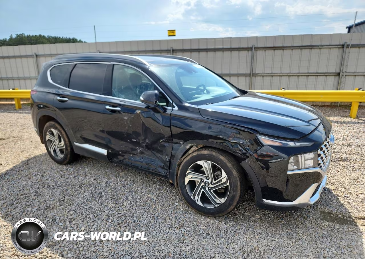 2023 Hyundai Santa Fe Sel Premium VIN:5NMS34AJXPH575702 - 4