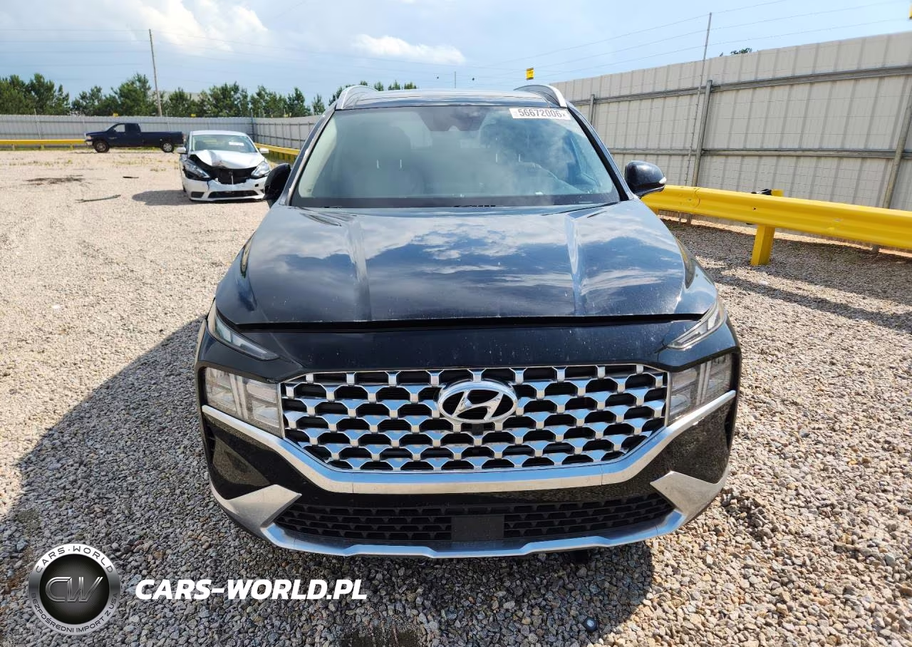 2023 Hyundai Santa Fe Sel Premium VIN:5NMS34AJXPH575702 - 5