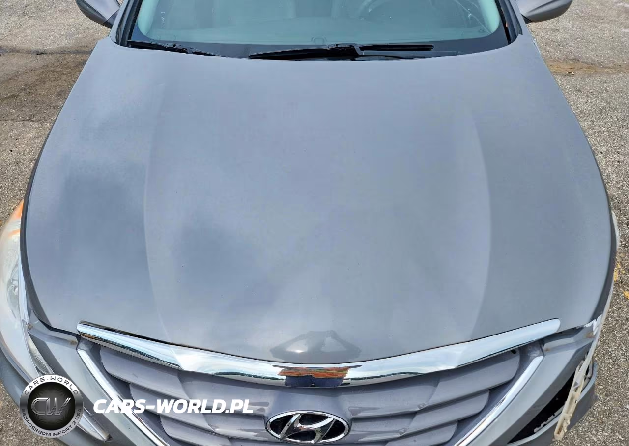 2013 Hyundai Sonata Gls VIN:5NPEB4ACXDH721581 - 11