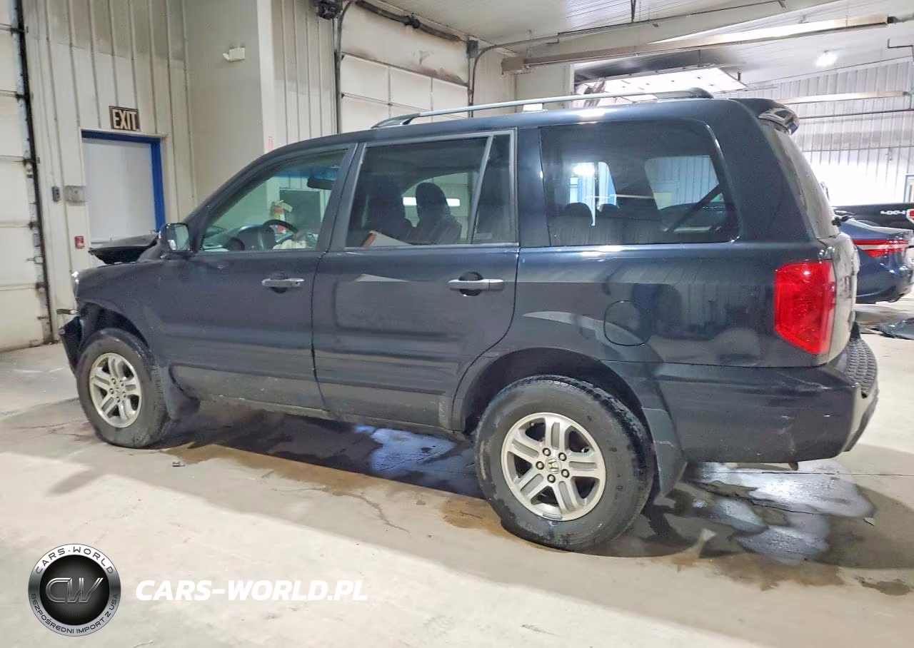 2005 Honda Pilot Ex VIN:5FNYF18405B056043 - 2