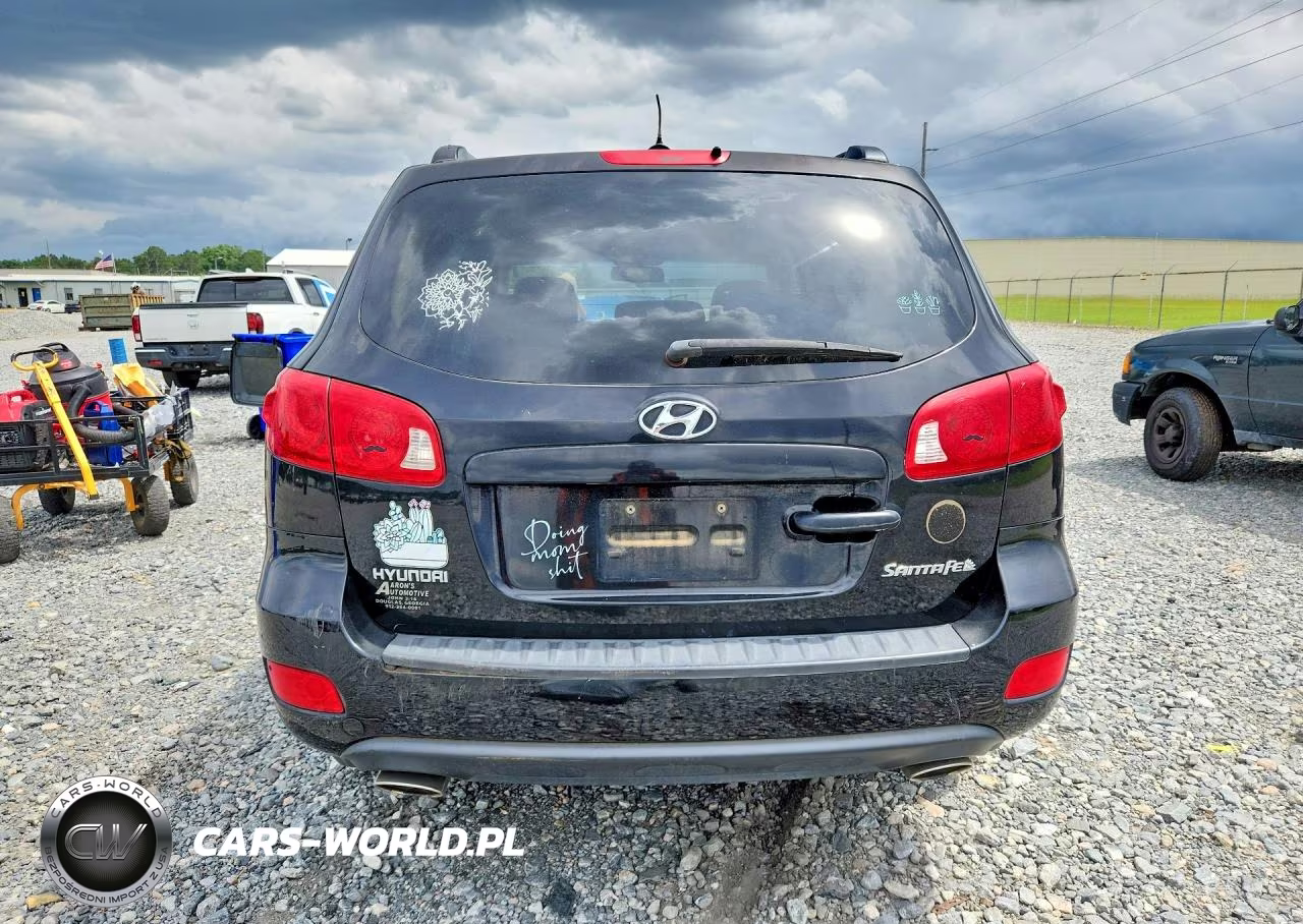 2008 Hyundai Santa Fe Se VIN:5NMSH13E28H208231 - 6
