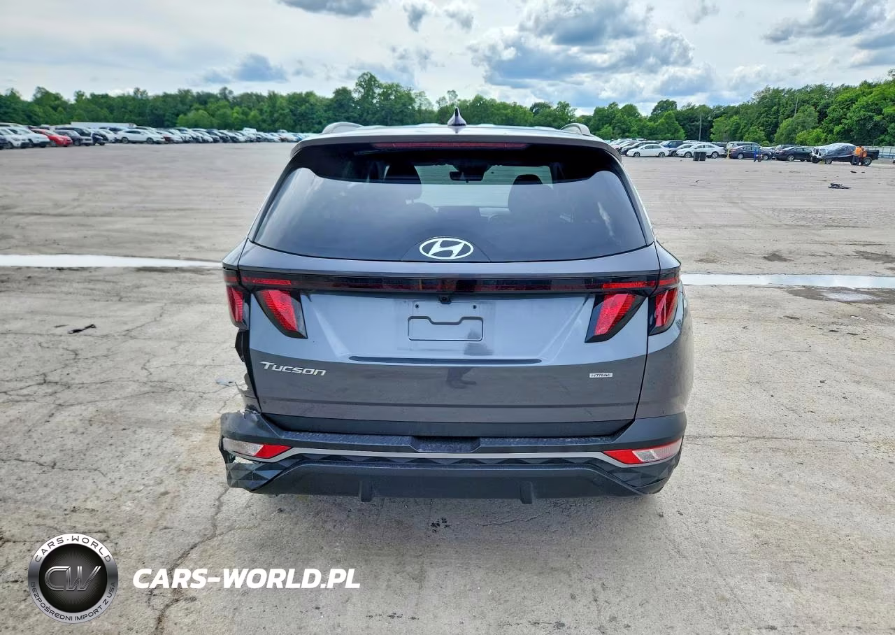 2024 Hyundai Tucson Sel VIN:KM8JBCDEXRU284874 - 6
