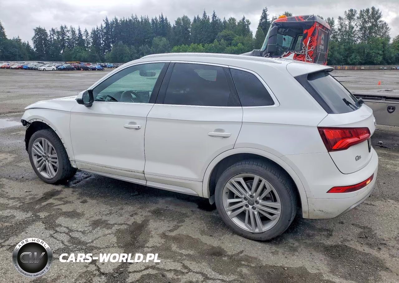 2019 Audi Q5 Premium Plus VIN:WA1BNAFY5K2124389 - 2