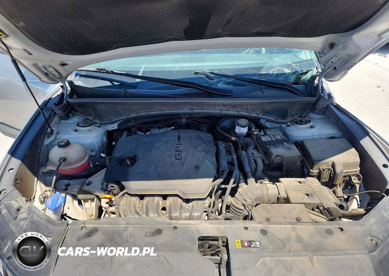 2023 Hyundai Tucson Limited VIN:5NMJE3AE5PH164811 - 12