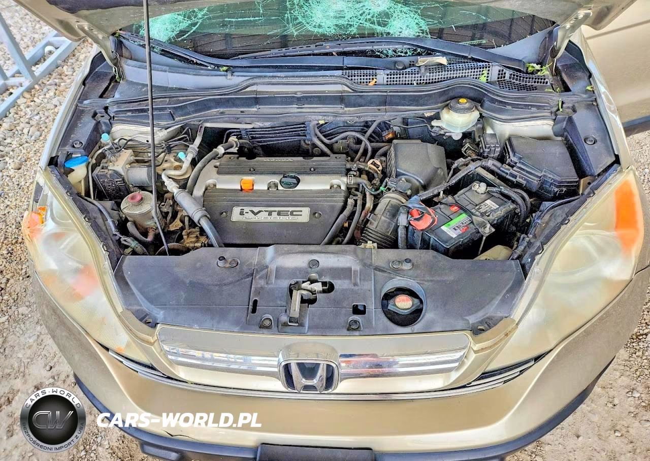 2009 Honda Cr-V Exl VIN:JHLRE38729C005369 - 12