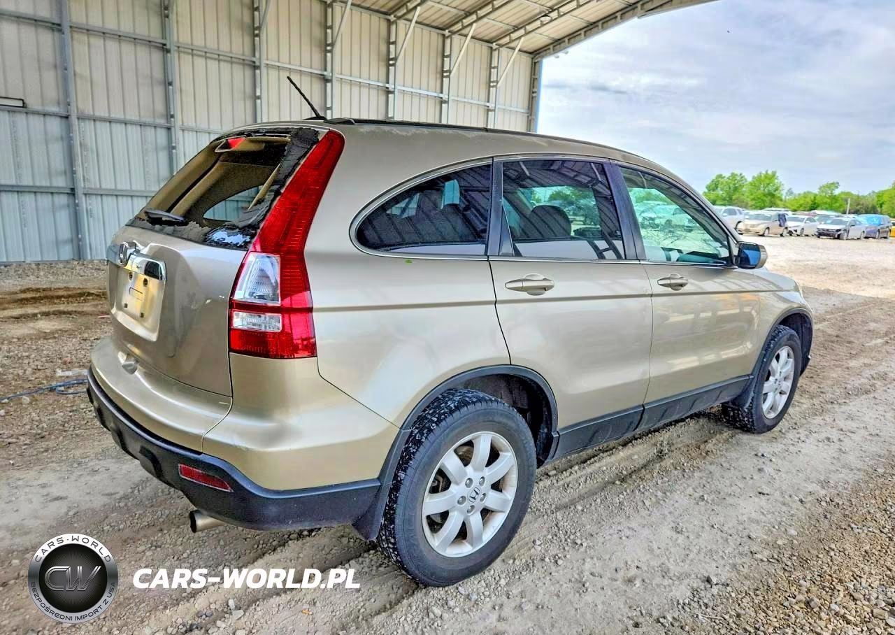 2009 Honda Cr-V Exl VIN:JHLRE38729C005369 - 3