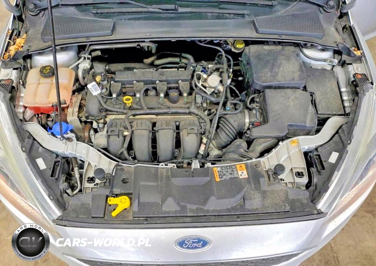 2016 Ford Focus Se VIN:1FADP3K24GL341333 - 11