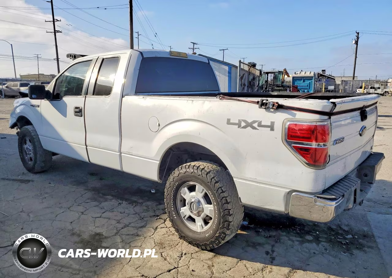 2010 Ford F150 Super Cab VIN:1FTFX1EV9AFA48854 - 2