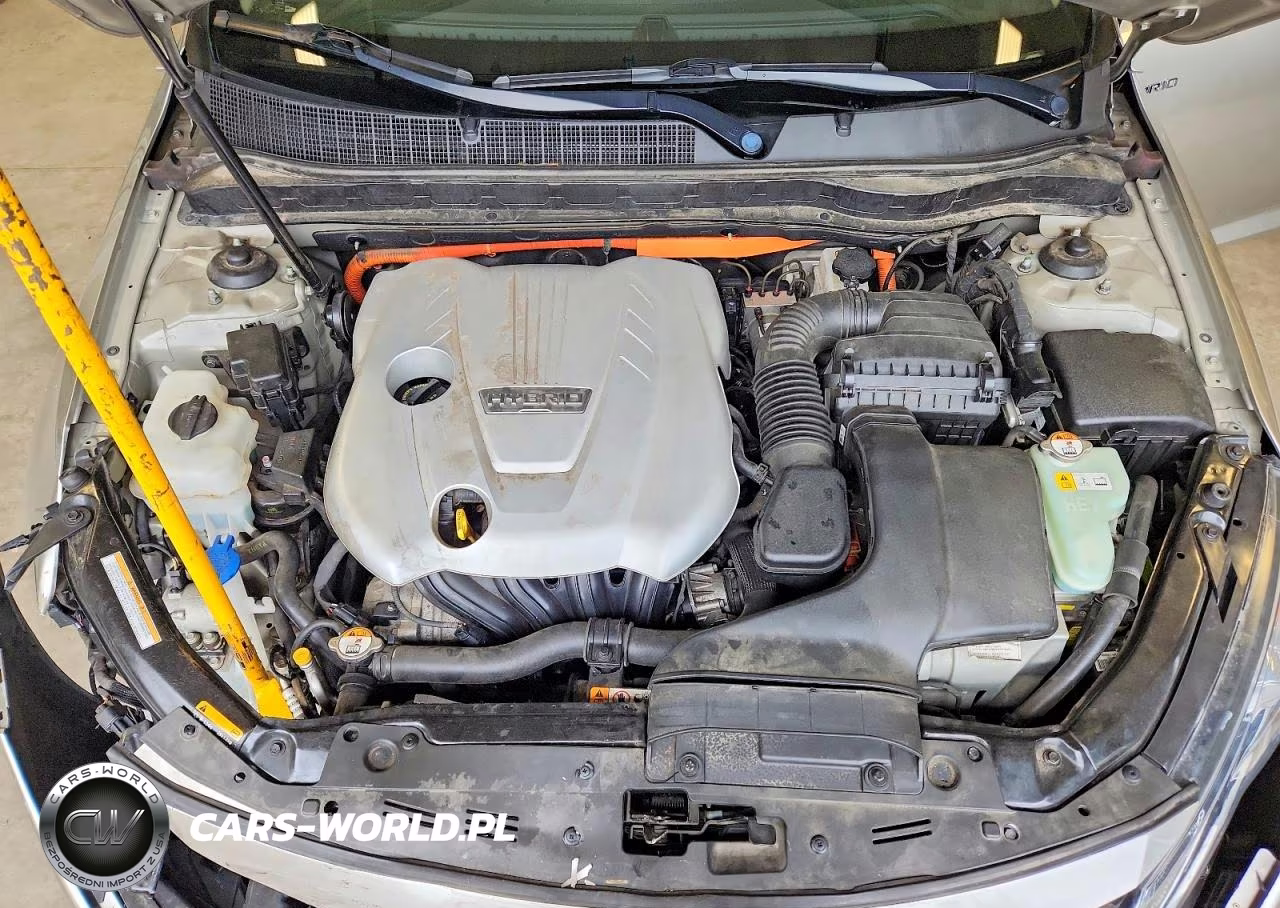 2013 Kia Optima Hybrid VIN:KNAGM4AD3D5040039 - 11