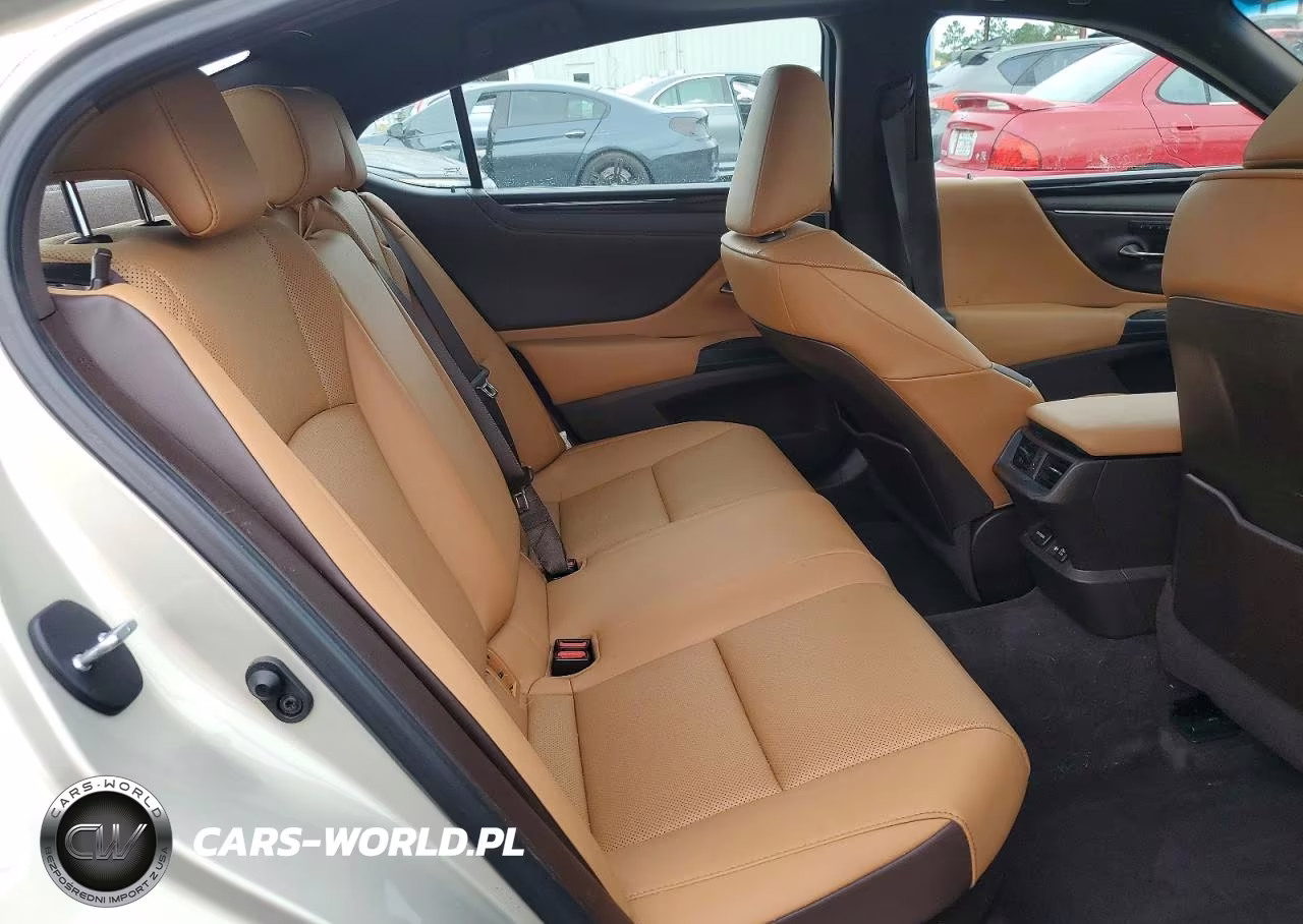 2021 Lexus Es 300H VIN:58ADA1C13MU002515 - 10