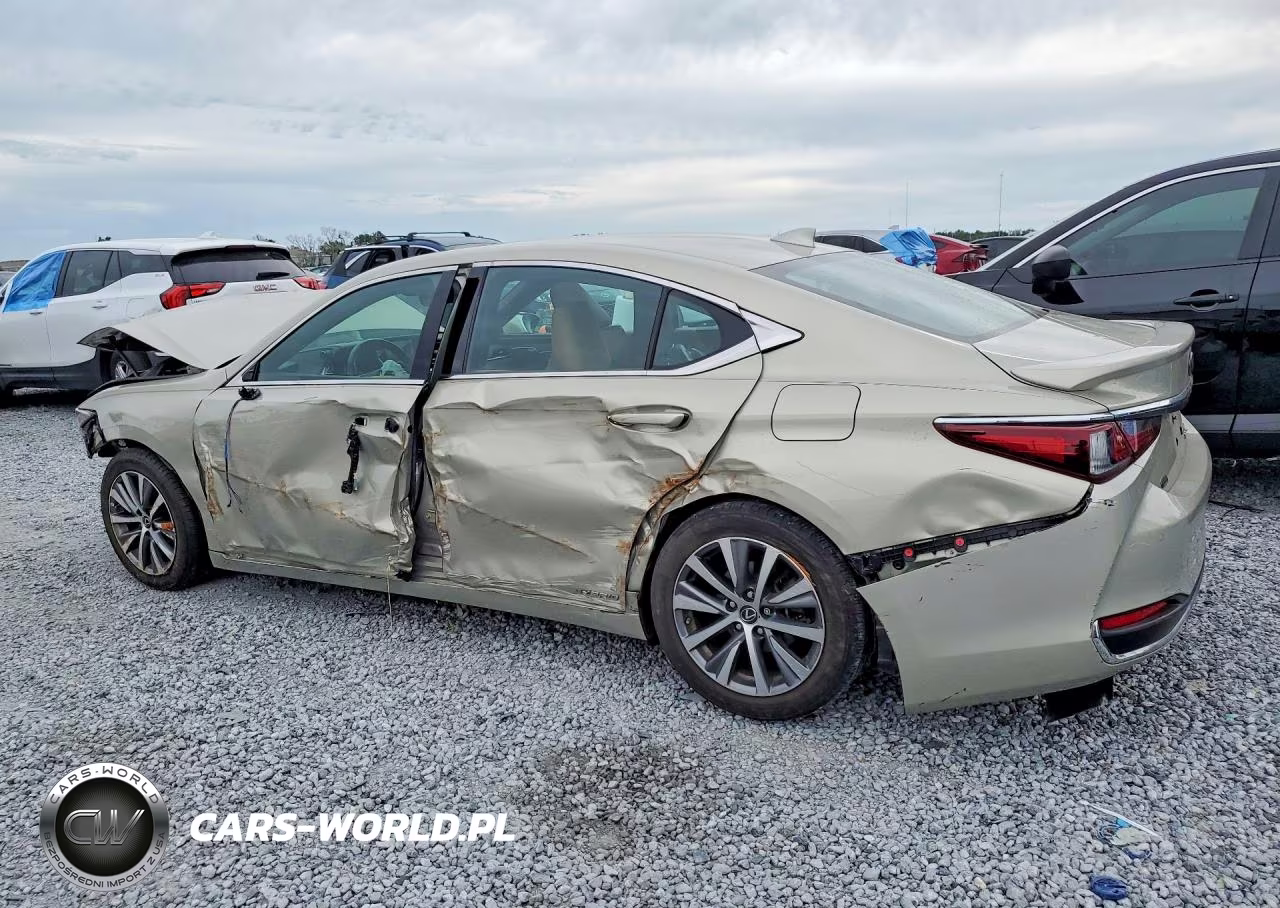 2021 Lexus Es 300H VIN:58ADA1C13MU002515 - 2
