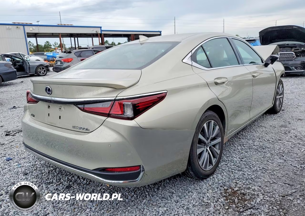 2021 Lexus Es 300H VIN:58ADA1C13MU002515 - 3