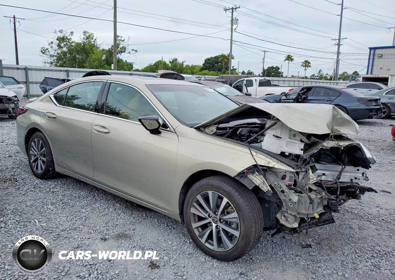 2021 Lexus Es 300H VIN:58ADA1C13MU002515 - 4