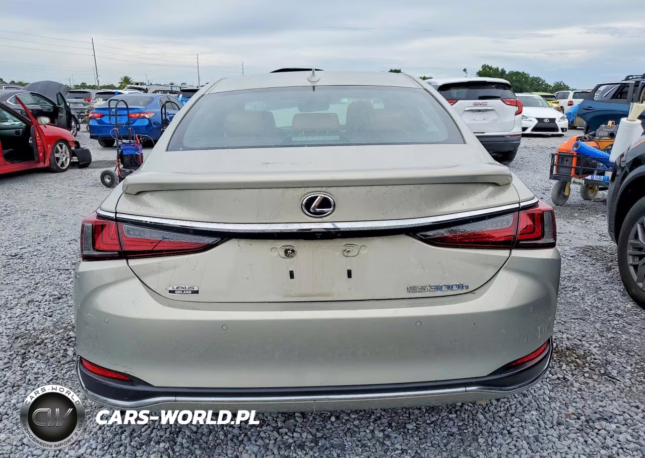 2021 Lexus Es 300H VIN:58ADA1C13MU002515 - 6