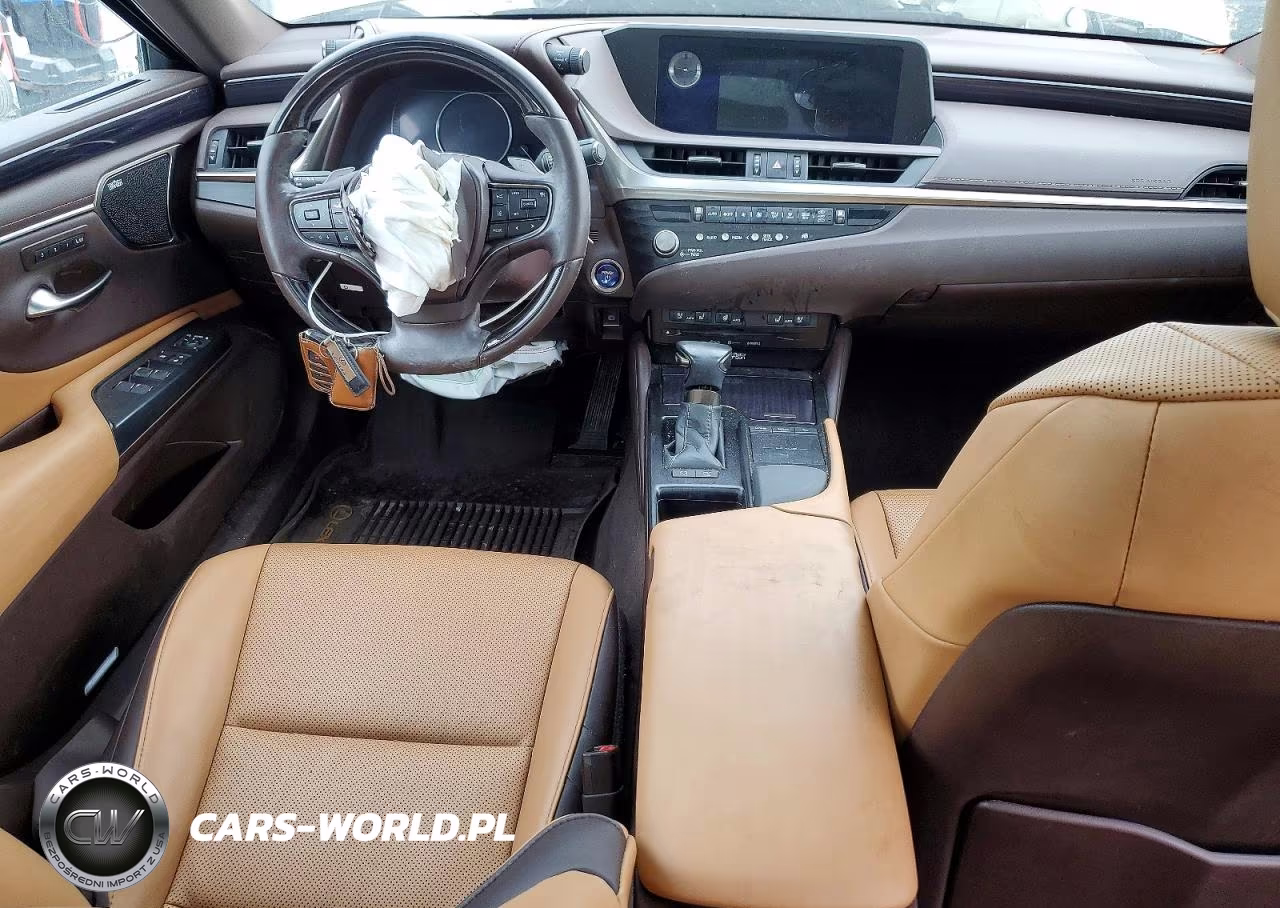 2021 Lexus Es 300H VIN:58ADA1C13MU002515 - 8