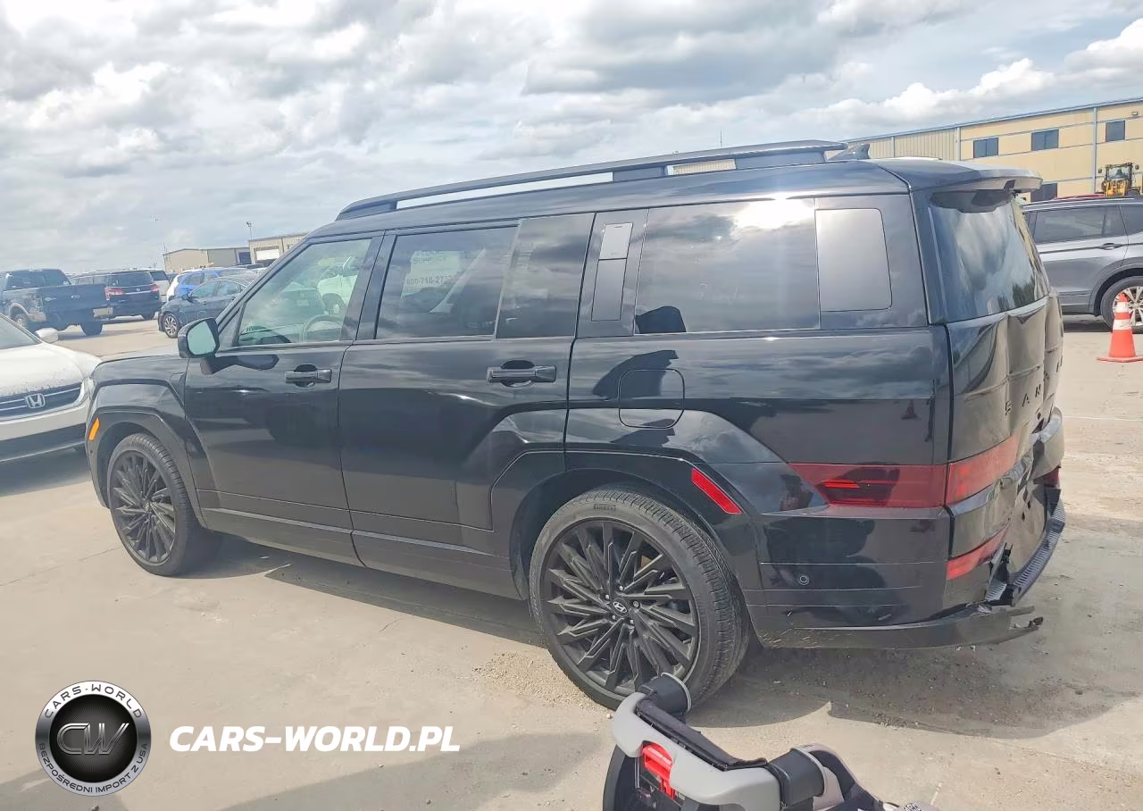 2024 Hyundai Santa Fe Calligraphy VIN:5NMP54GLXRH064759 - 2