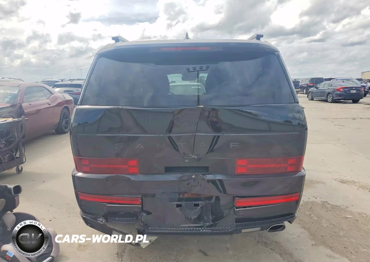 2024 Hyundai Santa Fe Calligraphy VIN:5NMP54GLXRH064759 - 6