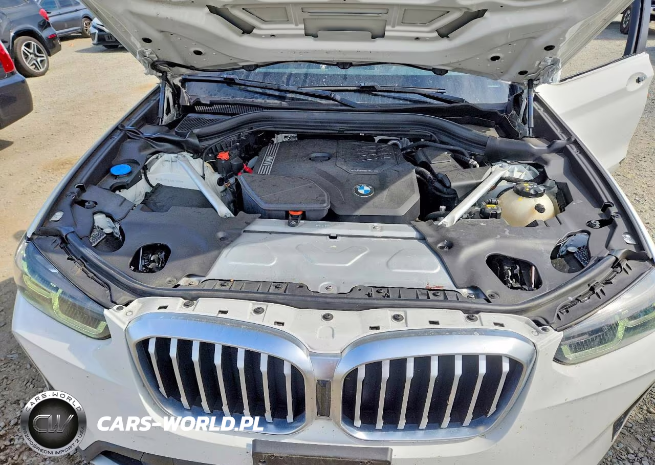 2022 BMW X3 Sdrive30I VIN:5UX43DP03N9J25100 - 12