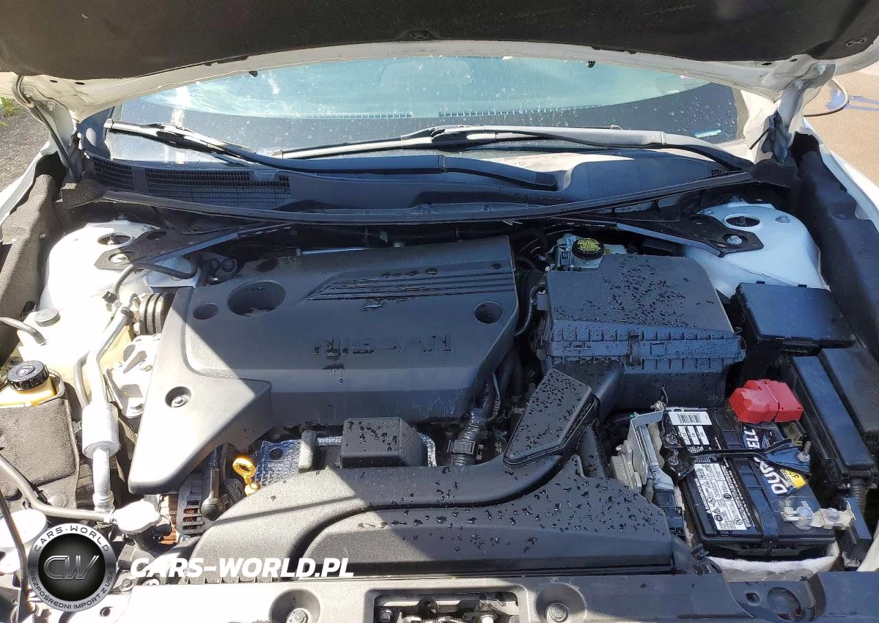 2017 Nissan Altima 2.5 Sv VIN:1N4AL3AP3HC250048 - 11