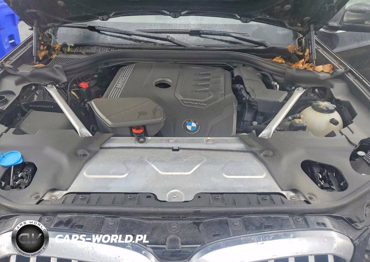 2022 BMW X3 xDrive30I VIN:5UX53DP09N9M28810 - 12