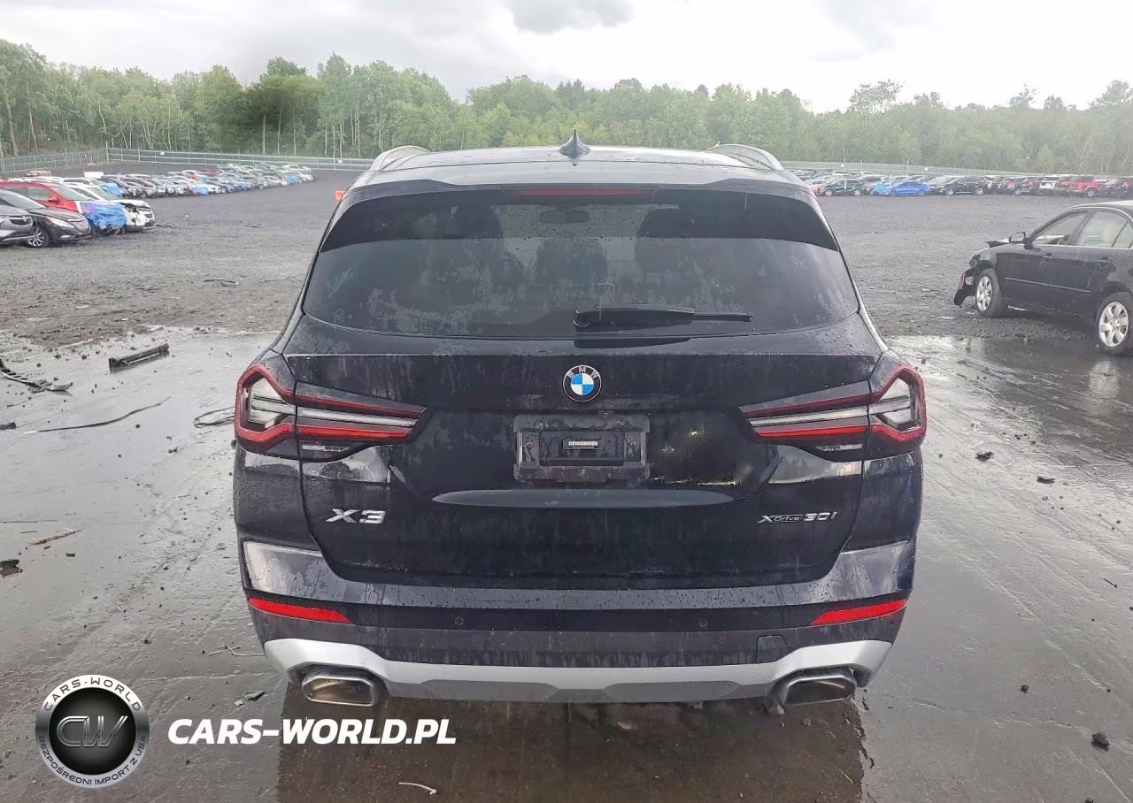2022 BMW X3 xDrive30I VIN:5UX53DP09N9M28810 - 6