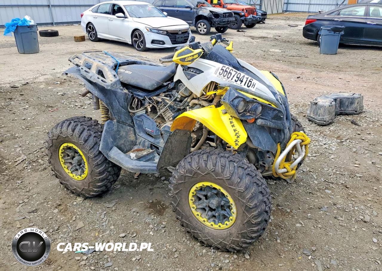 2019 Can-Am Renegade Atv