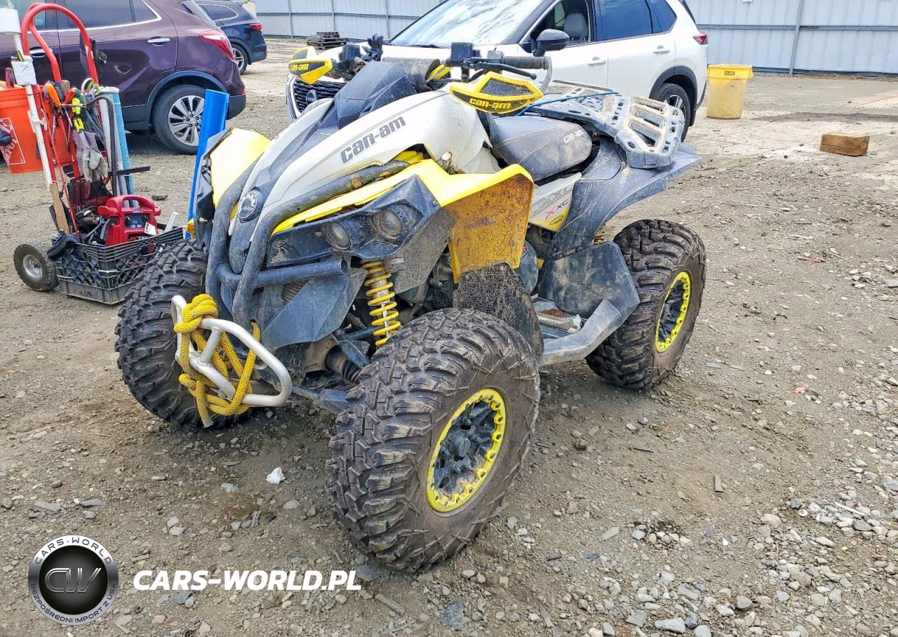 2019 Can-Am Renegade Atv VIN:3JBMXAX43KJ000090 - 2