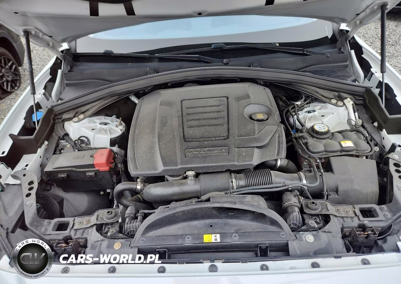 2019 Jaguar F-Pace Prestige VIN:SADCK2FX3KA357715 - 12