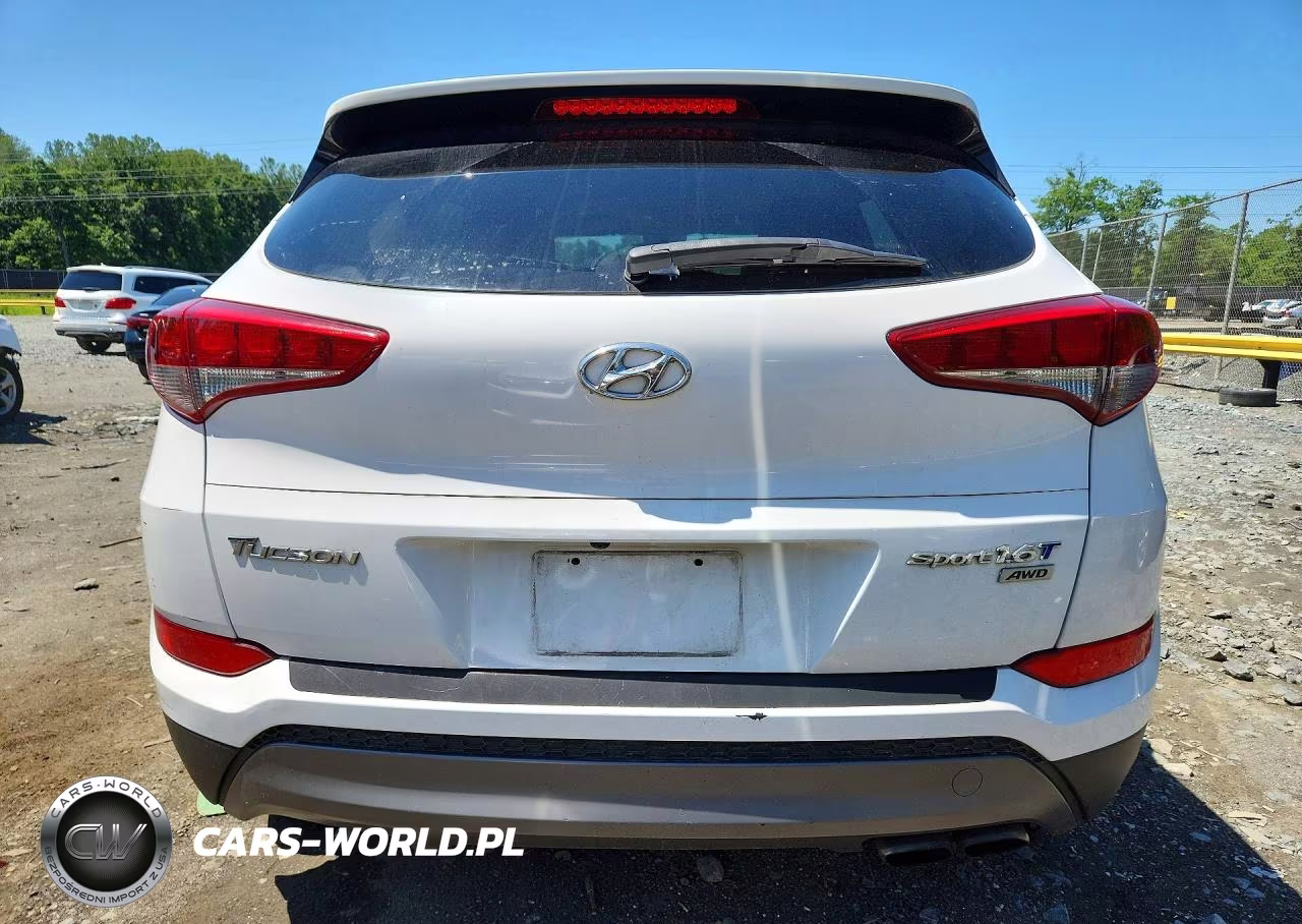 2016 Hyundai Tucson Sport VIN:KM8J3CA24GU125546 - 6
