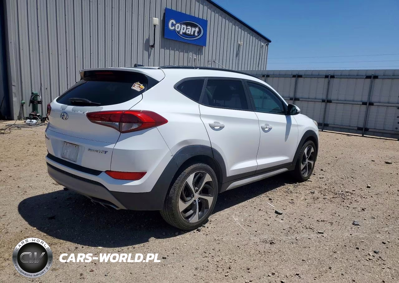 2017 Hyundai Tucson Sport VIN:KM8J33A25HU468996 - 3
