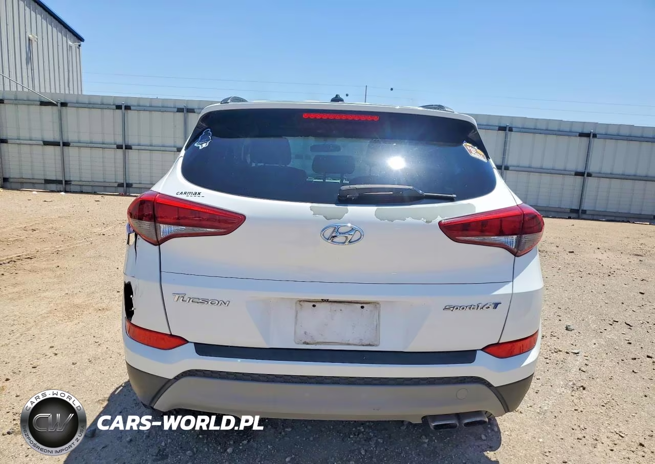 2017 Hyundai Tucson Sport VIN:KM8J33A25HU468996 - 6