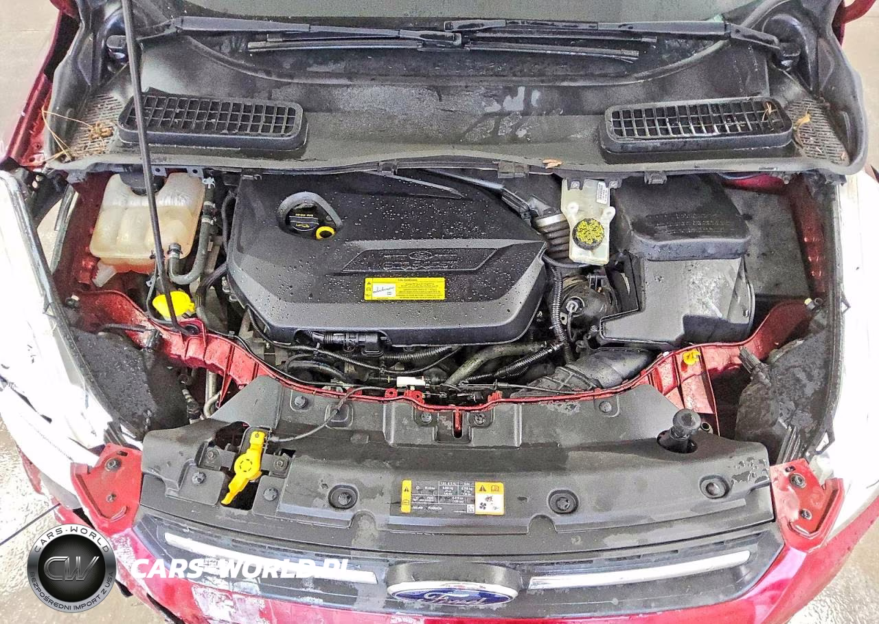 2014 Ford Escape Se VIN:1FMCU0GX6EUB77703 - 12