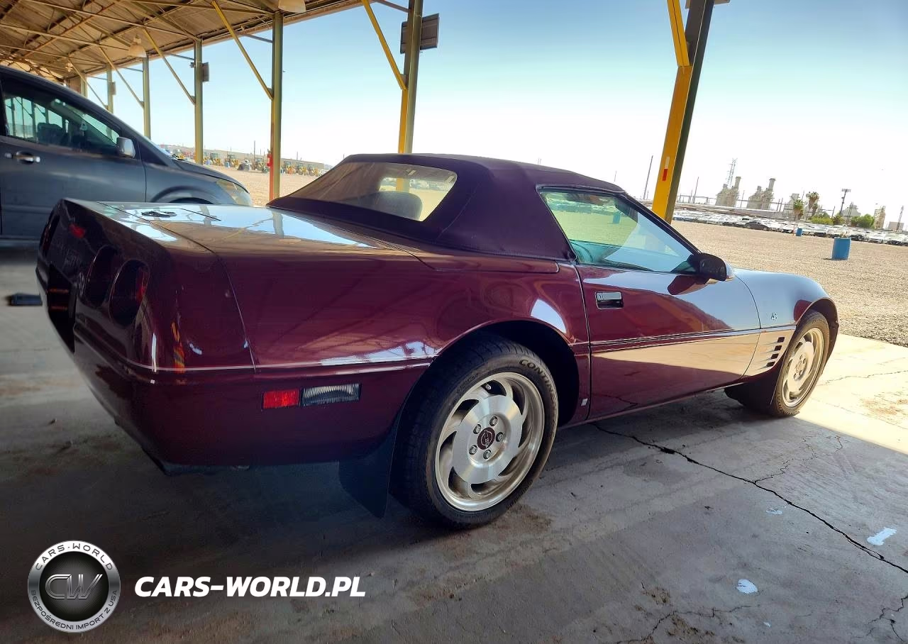 1993 Chevrolet Corvette VIN:1G1YY33P8P5110273 - 3