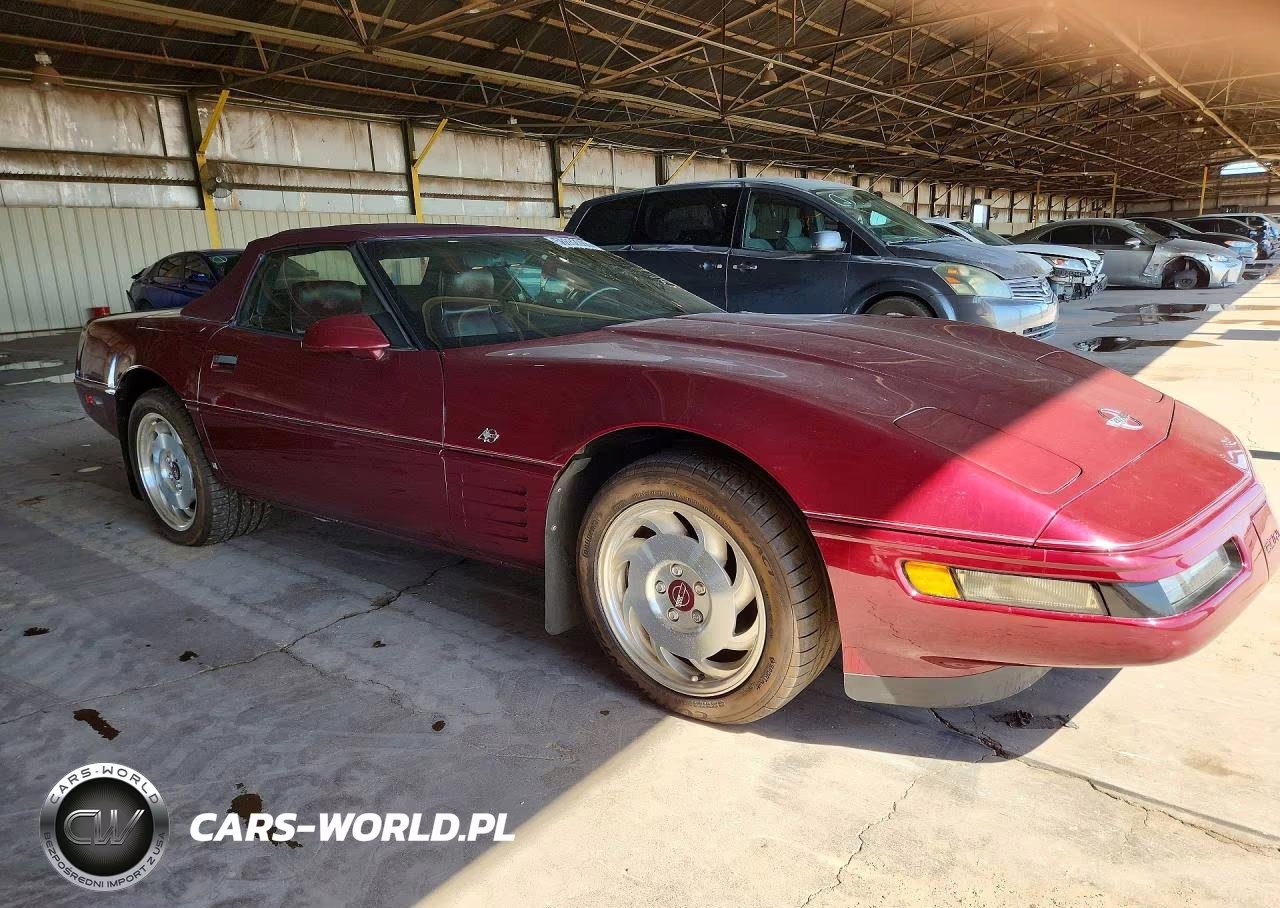 1993 Chevrolet Corvette VIN:1G1YY33P8P5110273 - 4