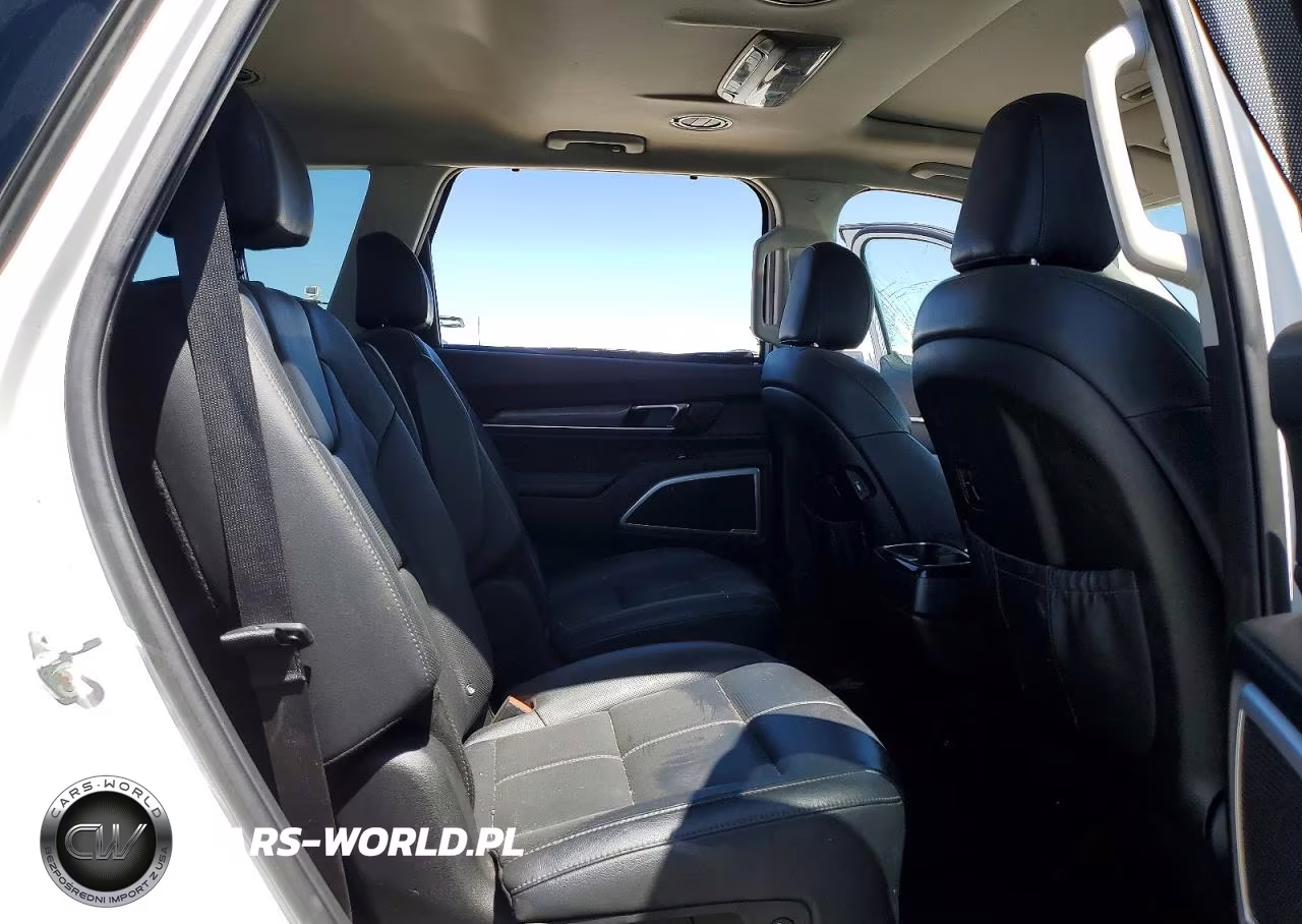 2020 Kia Telluride Ex VIN:5XYP34HC3LG059893 - 11