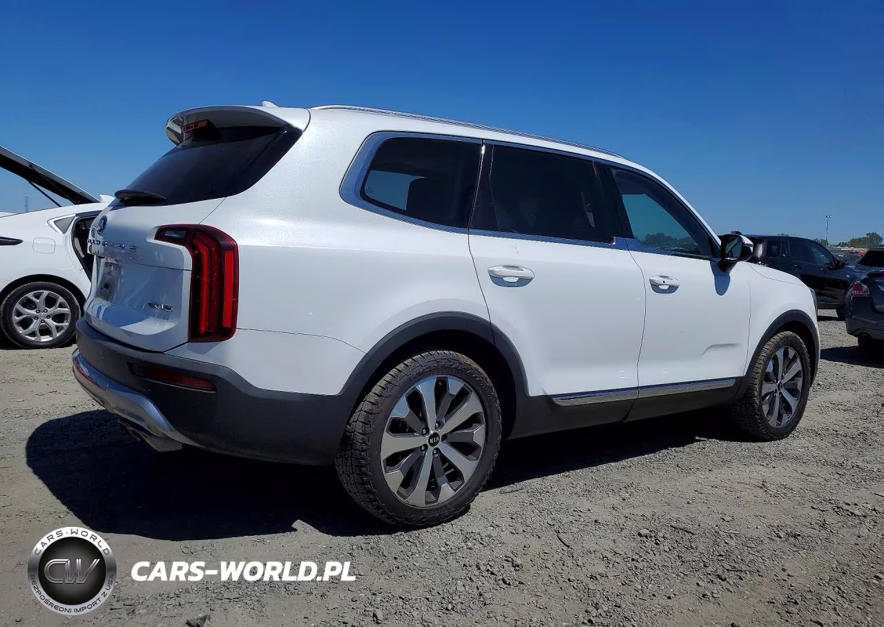 2020 Kia Telluride Ex VIN:5XYP34HC3LG059893 - 3