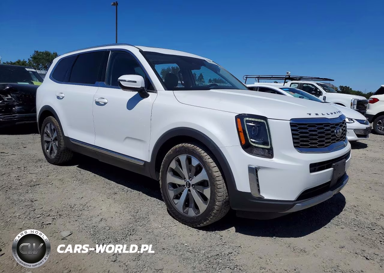 2020 Kia Telluride Ex VIN:5XYP34HC3LG059893 - 4