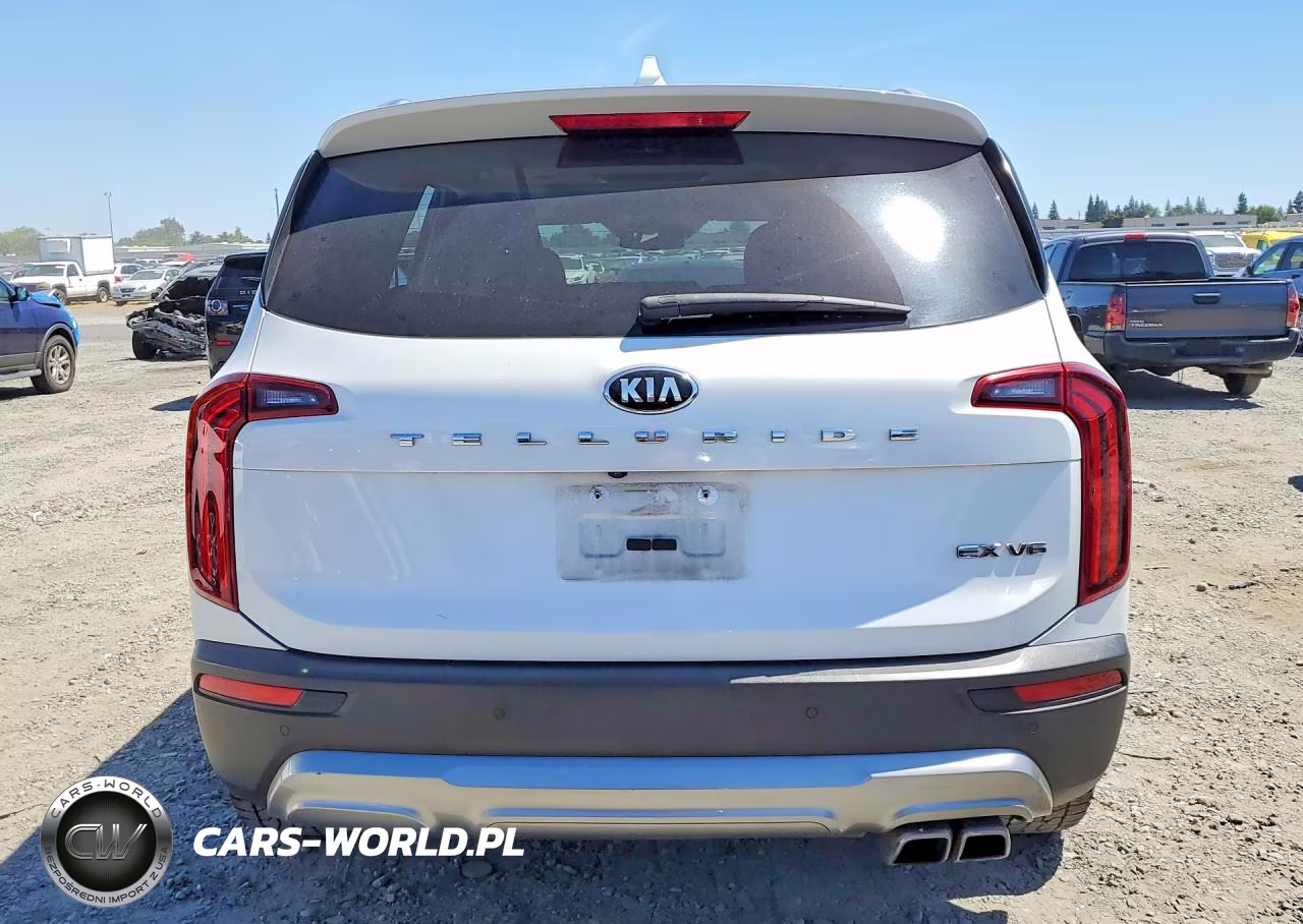 2020 Kia Telluride Ex VIN:5XYP34HC3LG059893 - 6